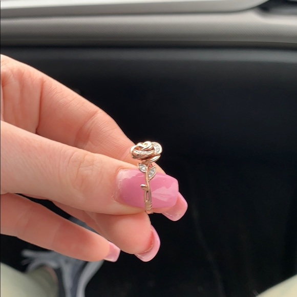 Rose gold Disney enchanted collectible. - Picture 5 of 7